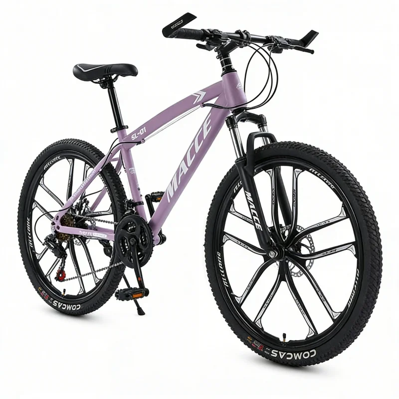 Paarse 10-versnellings high-en - Cycling Low Gear recensie en prijs