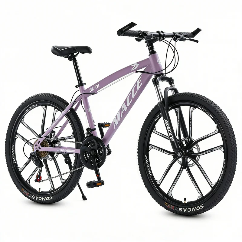 Paarse 10-versnellings high-en - Cycling Low Gear recensie en prijs