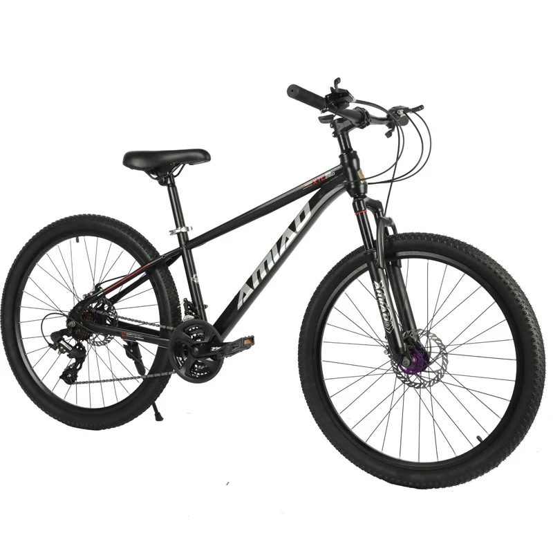Multi-speed mountainbike met l - Cycling Low Gear recensie en prijs