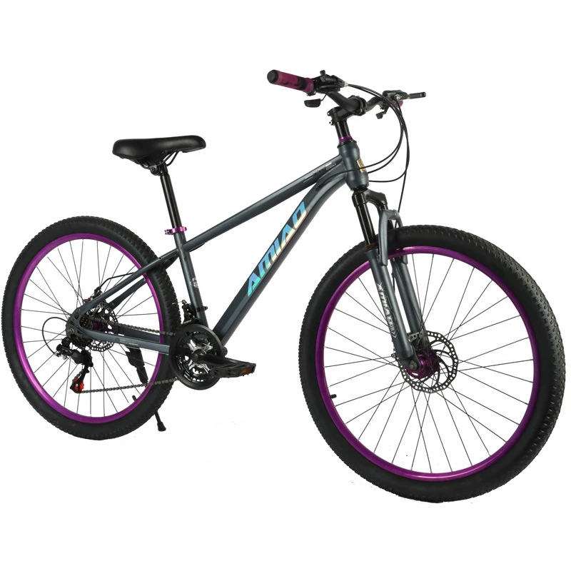 Multi-speed mountainbike met l - Cycling Low Gear recensie en prijs