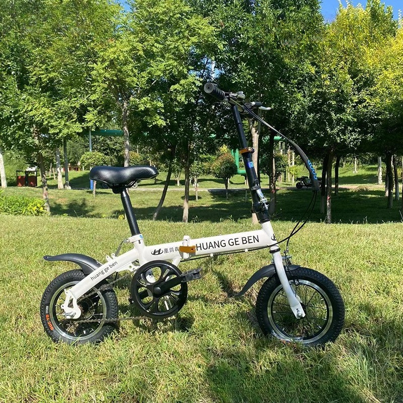 20 inch vouwfietsen voor volwa - Cycling Low Gear recensie en prijs