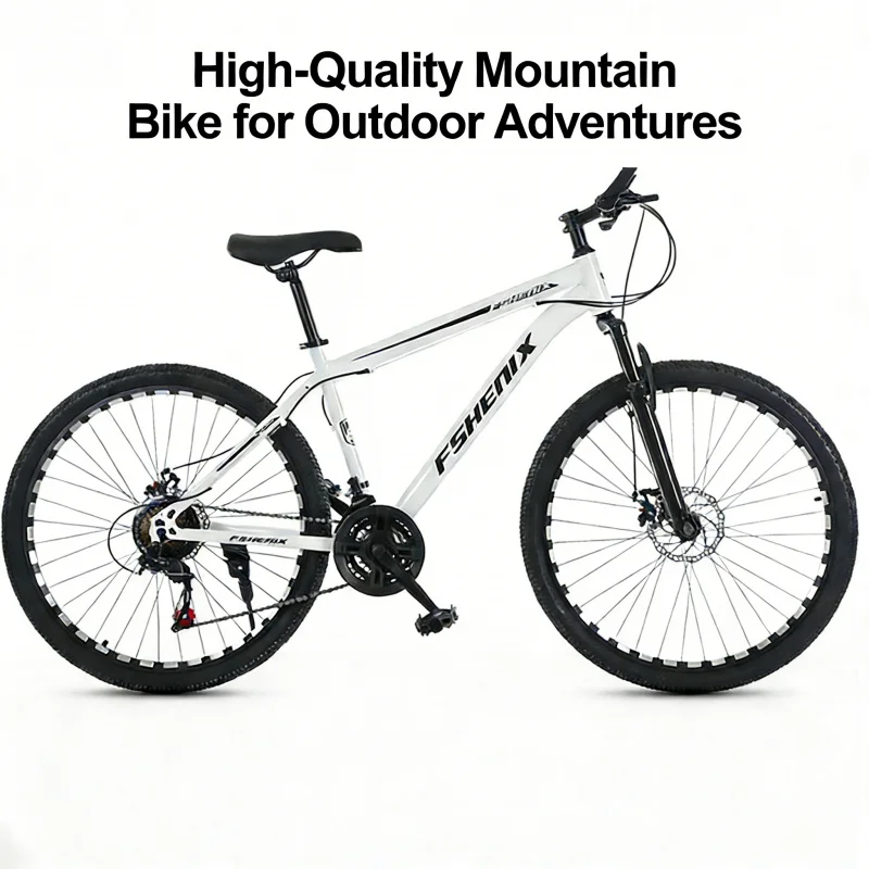 Sneeuwwitje Spoke Wheel Mounta - Cycling Low Gear recensie en prijs